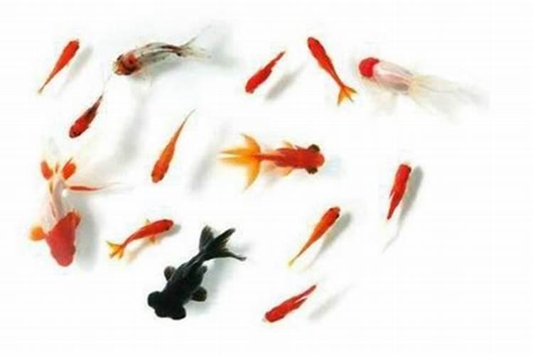 蒙圈了,原来这三个位置做吊柜,就是风水上的“梁煞”