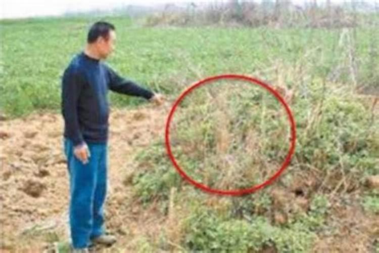 清朝历任风水国师