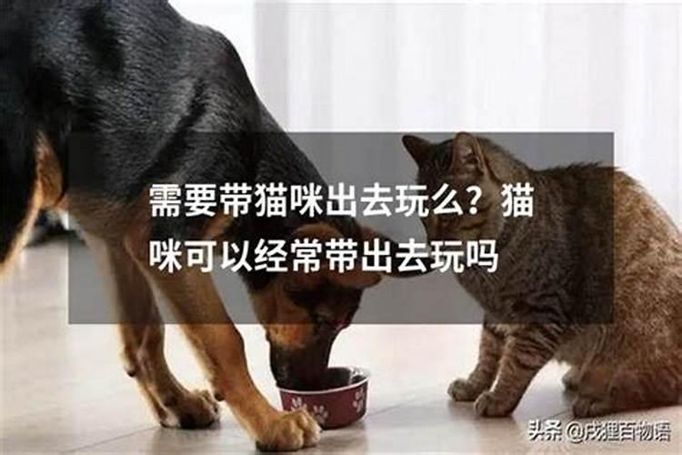 风水法术:何为”种生基“？