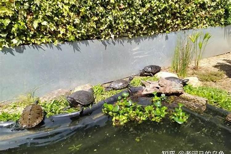 清远陵园哪个风水