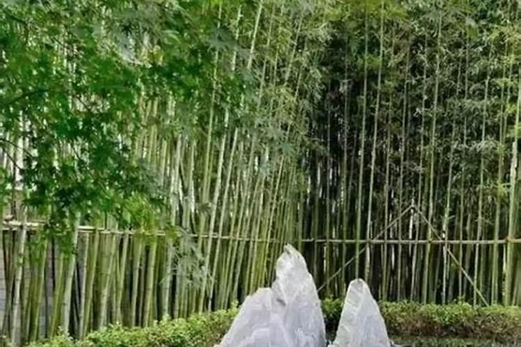 坐西朝东庭院大门怎么开？