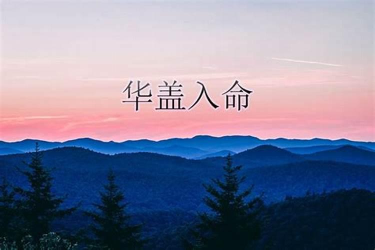 华盖局是什么意思