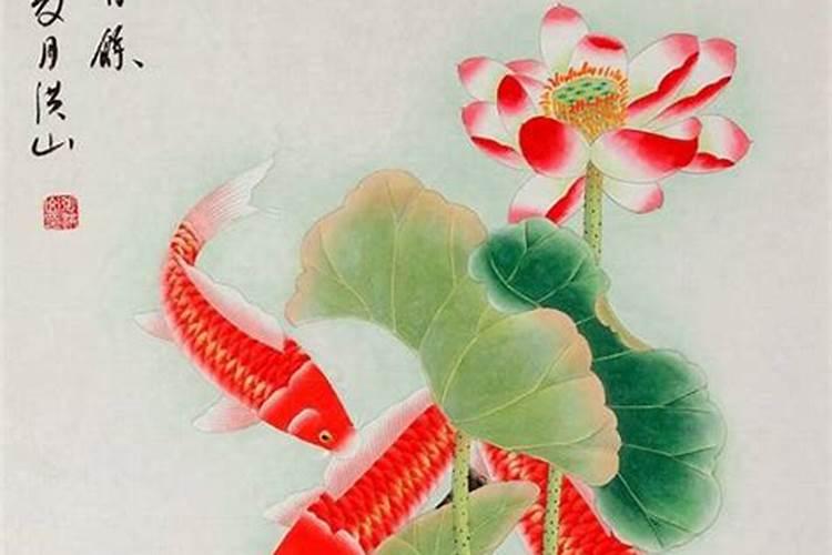 容易招财的小鱼,什么样的招财鱼最好