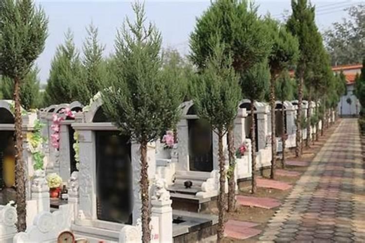 生态安葬是什么意思