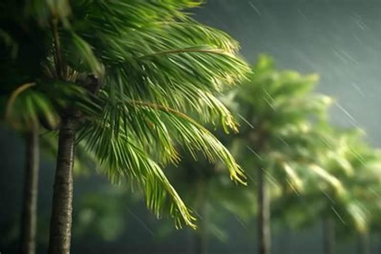 喜来隐悲 已遭大雨狂风吹 古木为槽 人人尽道不坚牢