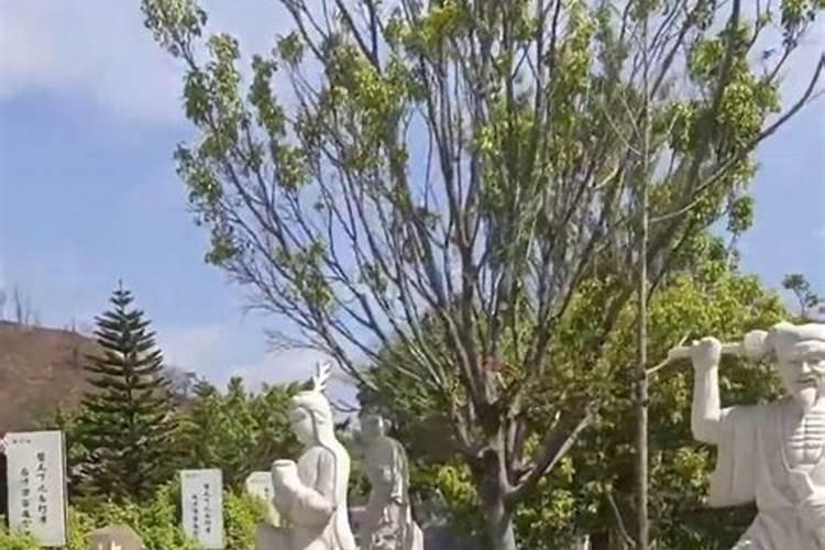 我觉得中国风水地理文化理论很渊博,请介绍几个网上介绍本类知识的好...