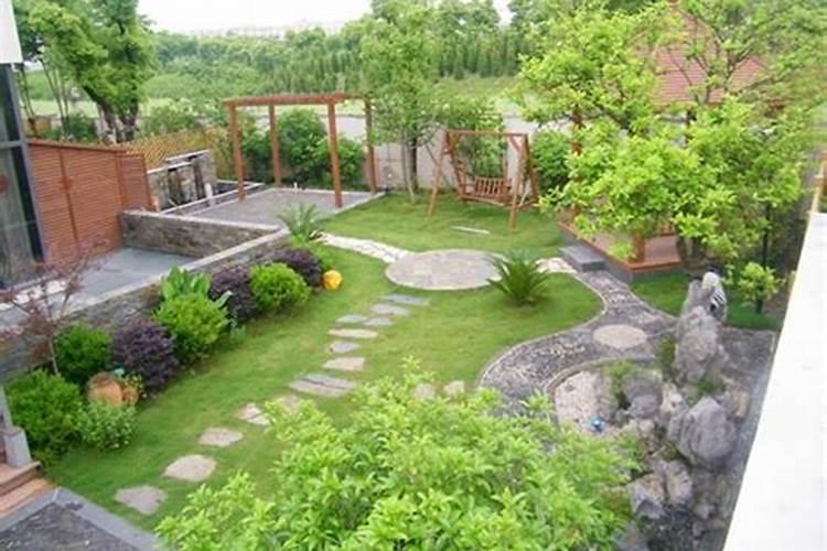 办公室植物风水哪种好办公室风水绿植哪种最好