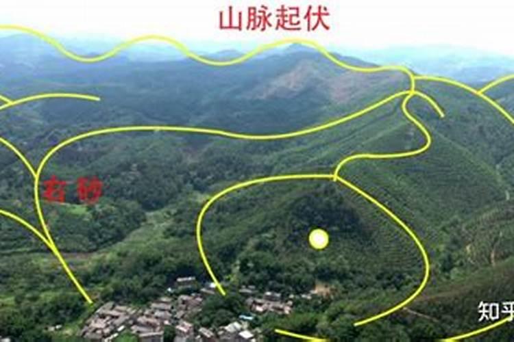 中国现在真正有实战经验的顶级风水专家是谁