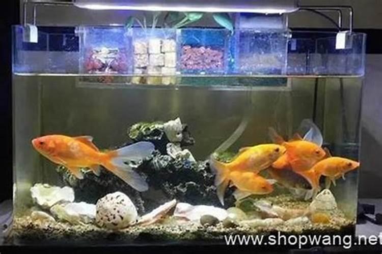 开店放什么辟邪招财