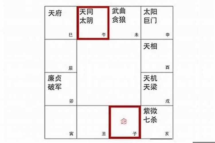 如何把院子打造成花园？