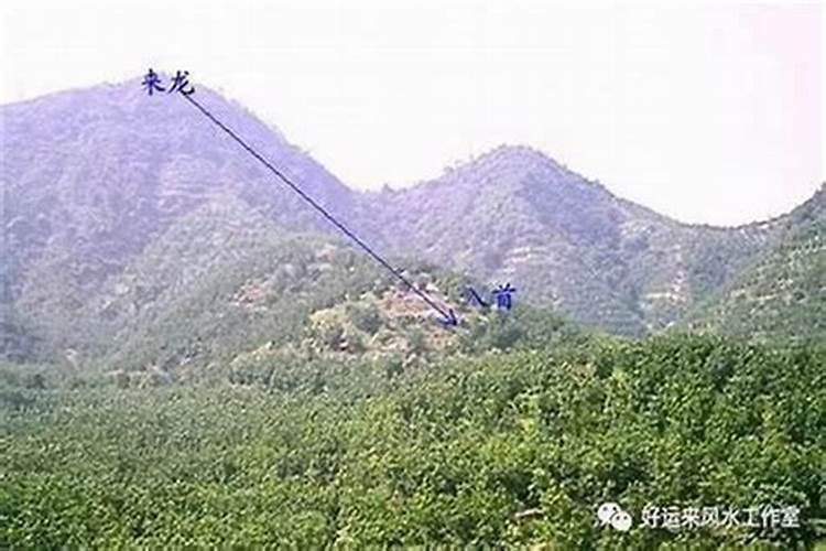 男的会请神算命的叫什么？