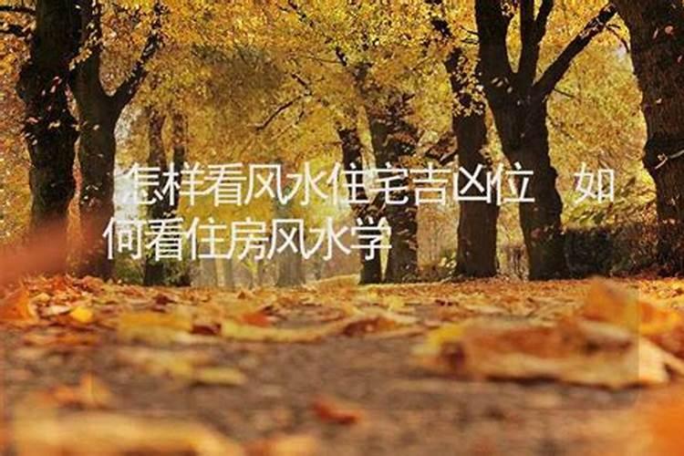 名字真能影响一个人的命运吗,取名有什么讲究