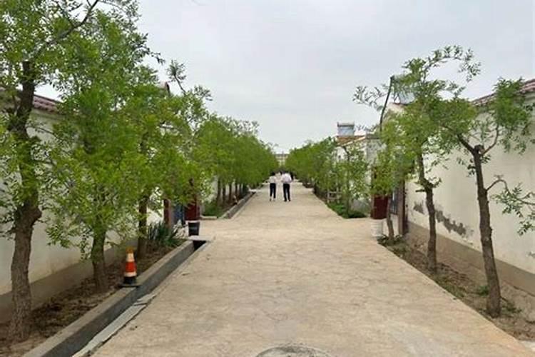 风水先生指什么生肖和动物