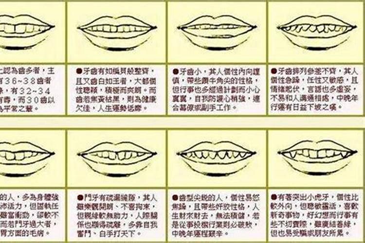 树招财又旺宅 树招财又旺宅有哪些