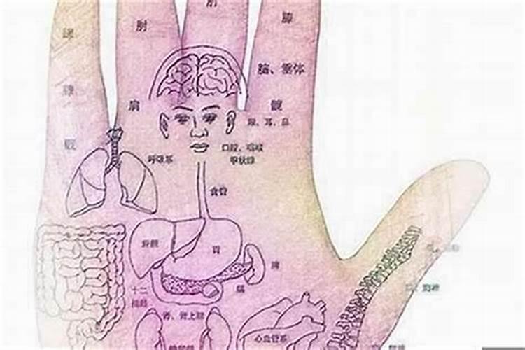 看女手相算命图解