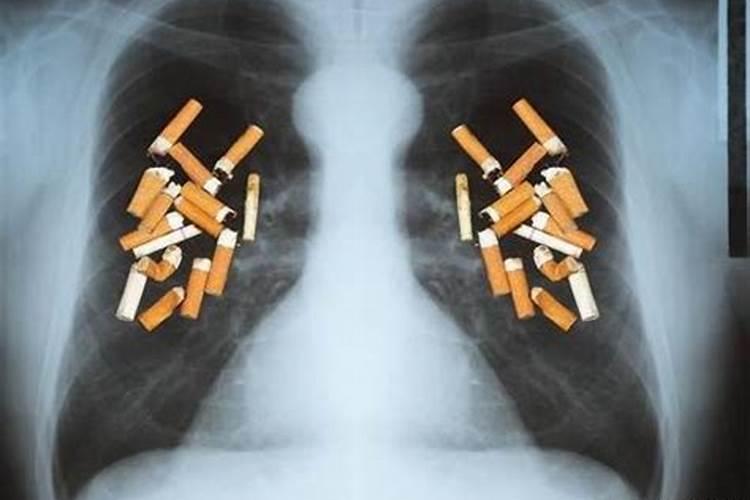看风水的顺口溜