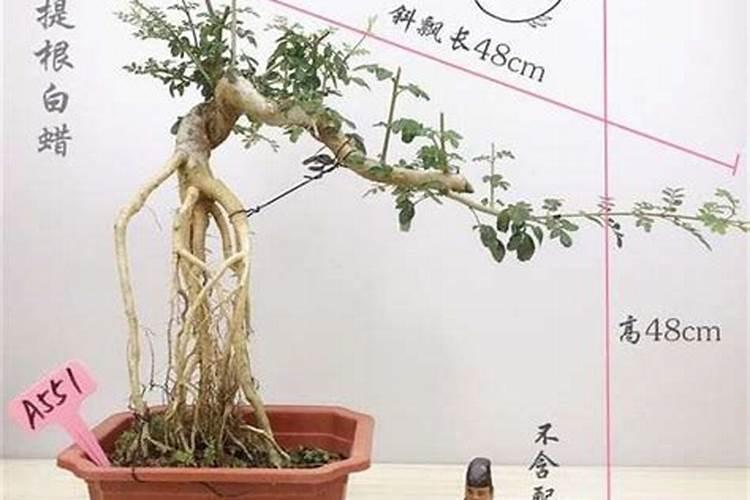 风水学中所说的星斗是指什么？