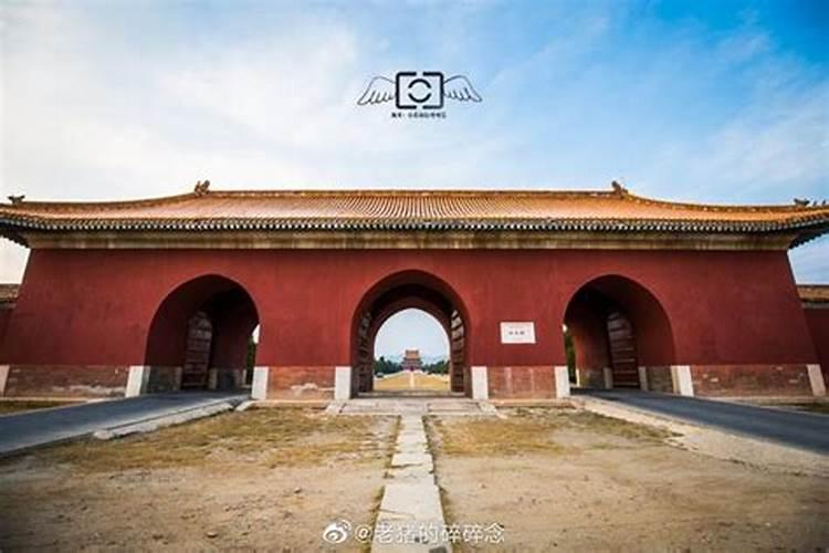 大门正前方隔路别人种了杏树和梨树,该怎么避煞,怎么规避一下,谢百度...