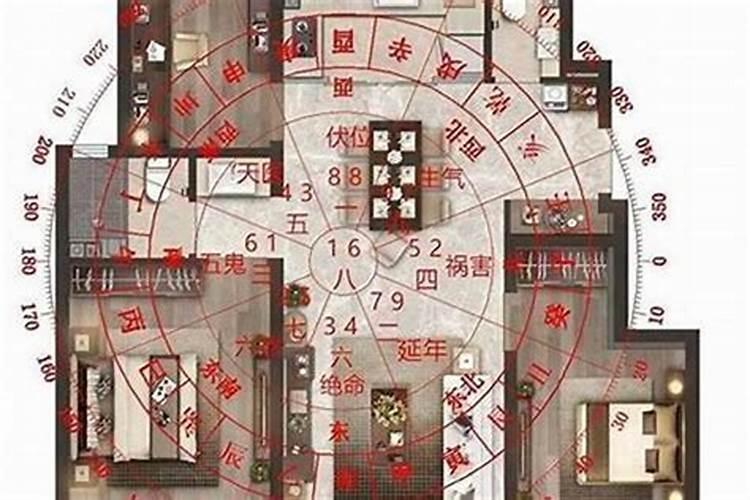 发财最猛的阳宅风水 让儿子有出息的风水布置