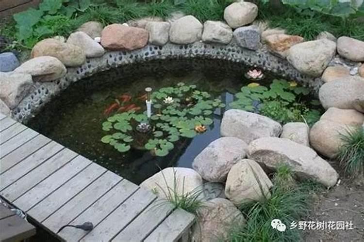 办公室养鱼的风水有什么讲究,有哪些注意事项？
