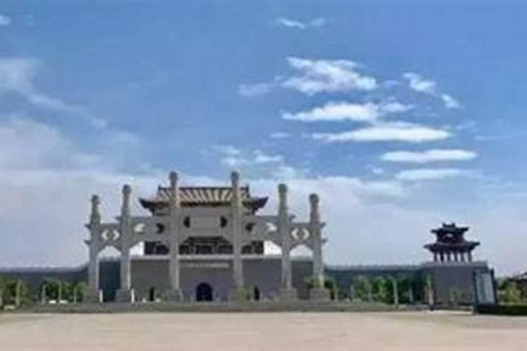魏县我家摇钱树放在房门一进门口好不好？