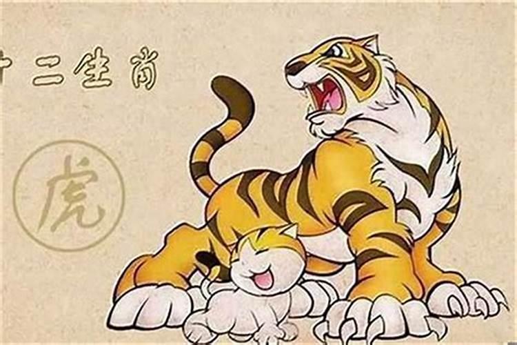 虎年家居风水布局