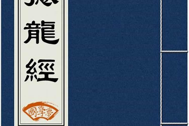 别墅门前种什么树对家里人风水好