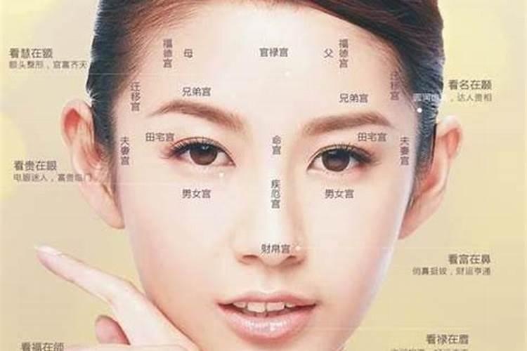 金蟾送宝花盆适合栽什么绿植,摆放有什么讲究