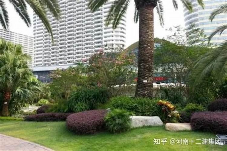 住宅风水与绿化知识
