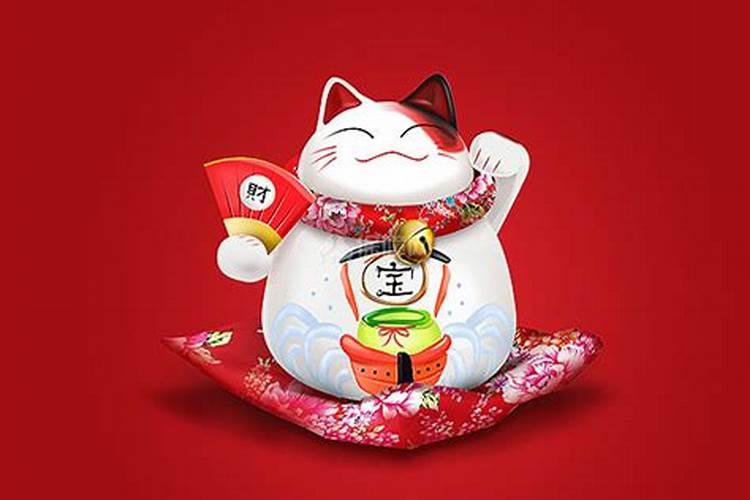 店铺养猫好不好？