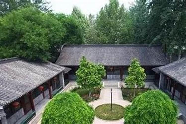 坟墓前怎么栽树风水