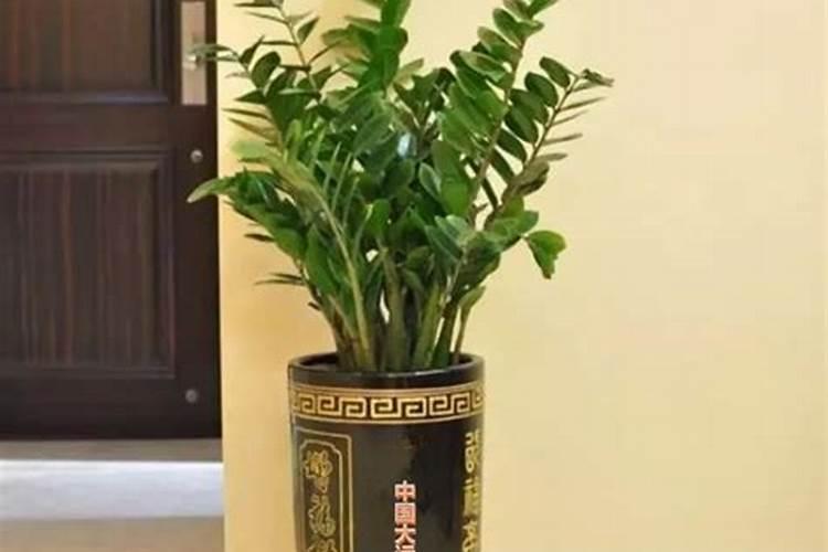 高层哪个朝向好