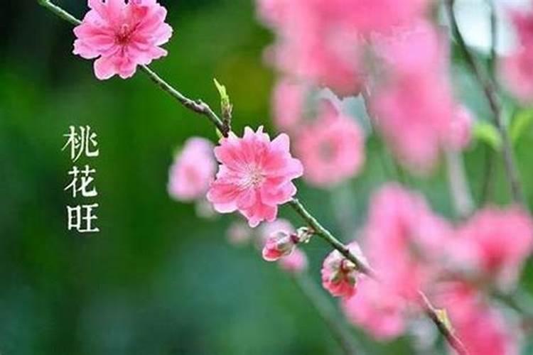 2019年家中的桃花位怎么确定