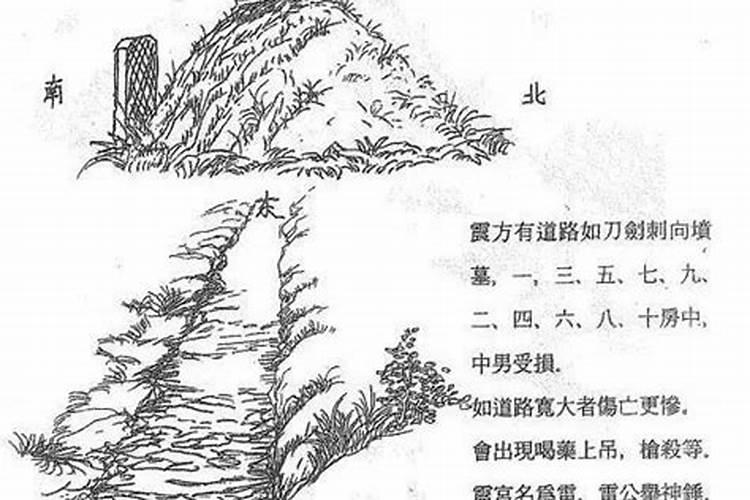 门前花池种什么最旺风水