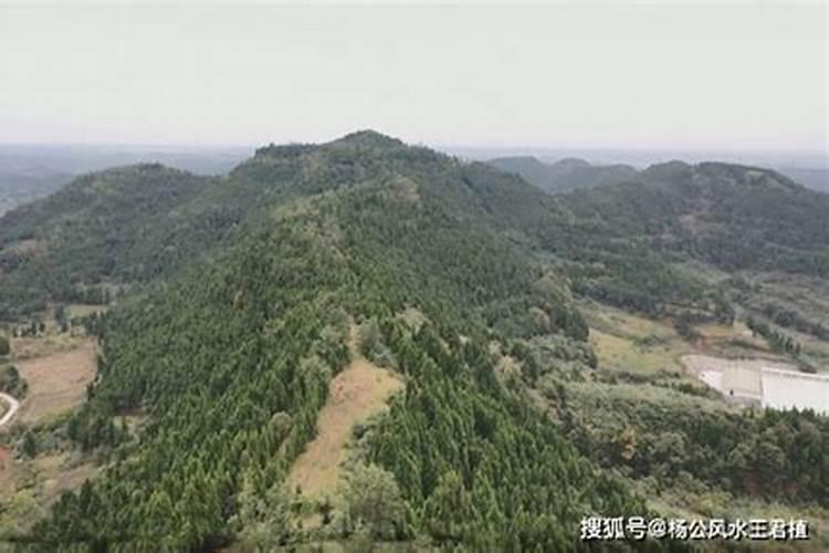 家里放牛摆件可以吗