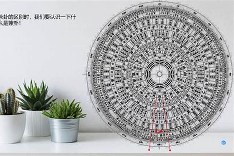 房间放什么东西防蚂蚁