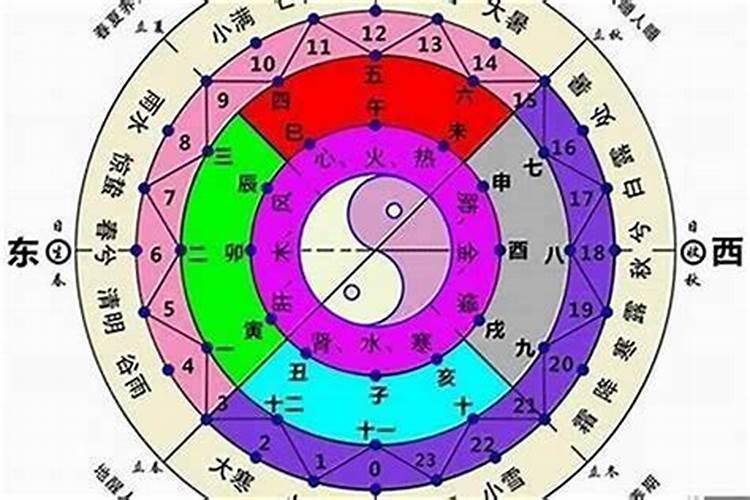 水泥地面如何种植