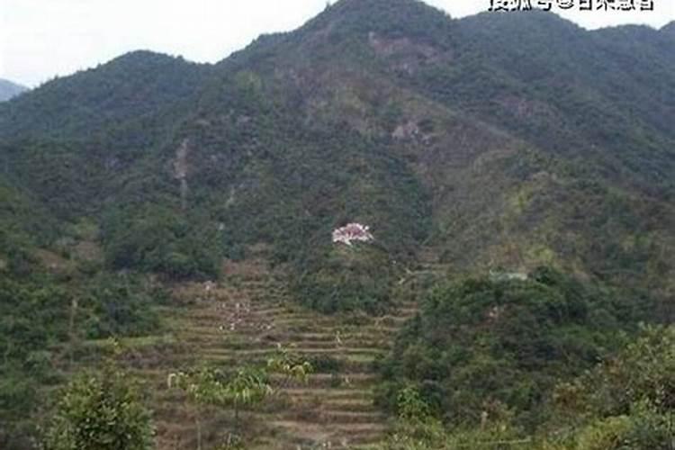 龟背阴宅风水图解,龟背阴宅风水图解精选