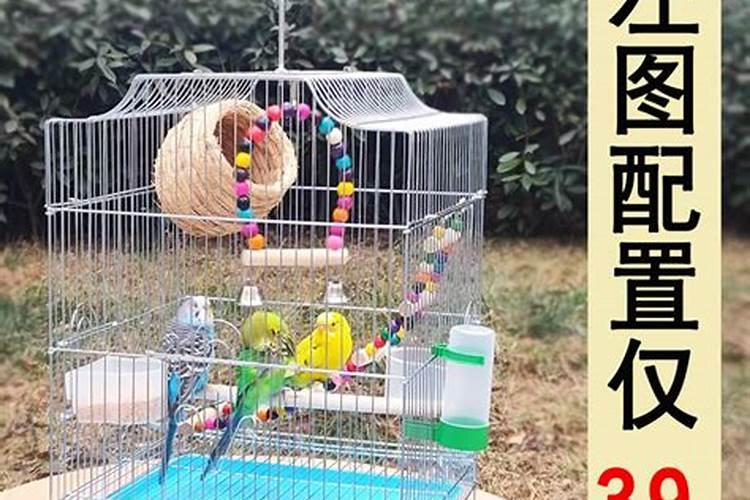 空鸟笼可以放在卧室吗空鸟笼能摆放在卧室吗