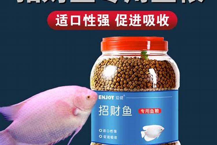 浦南陵园的扫墓班车在哪里坐