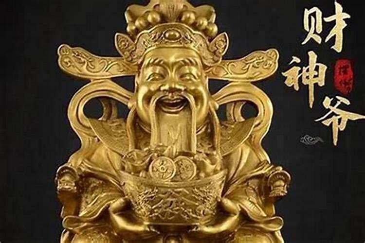 宠物店开在什么地方好