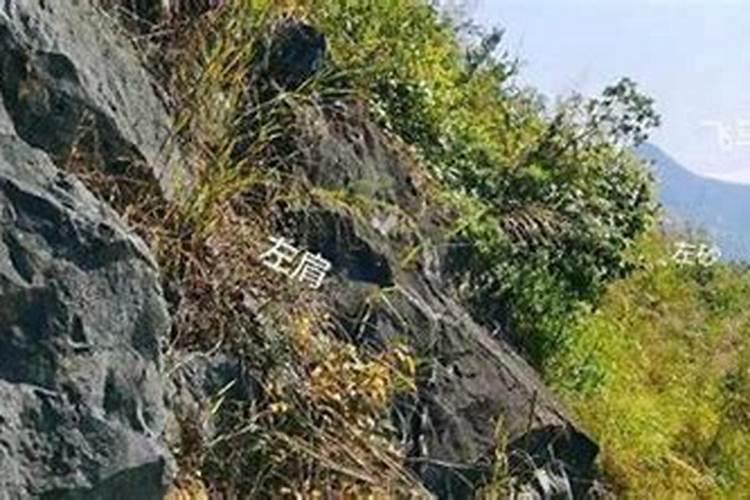在四川的一个小县城(邻水)里面发展什么好呢