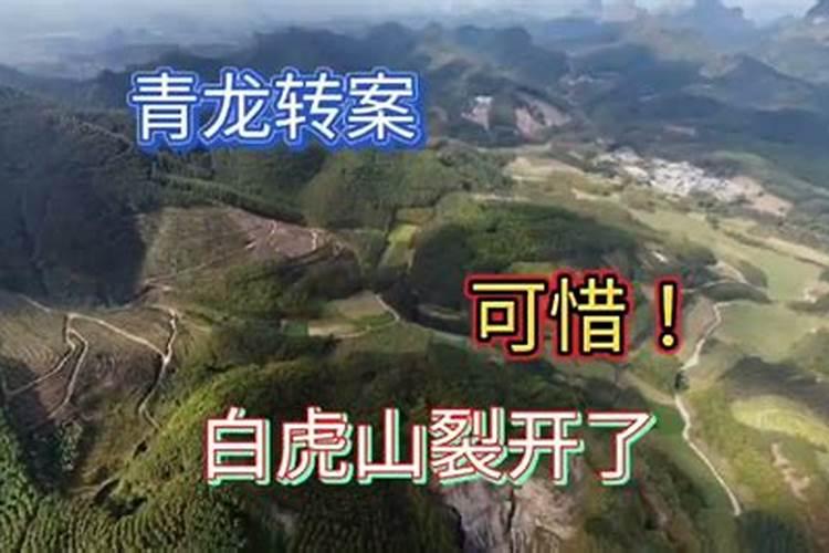 风水中的四兽