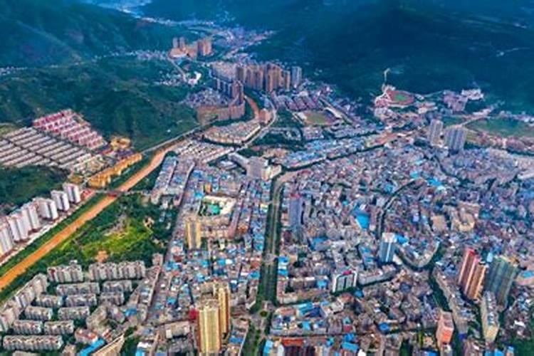 养什么龟最有灵性镇宅