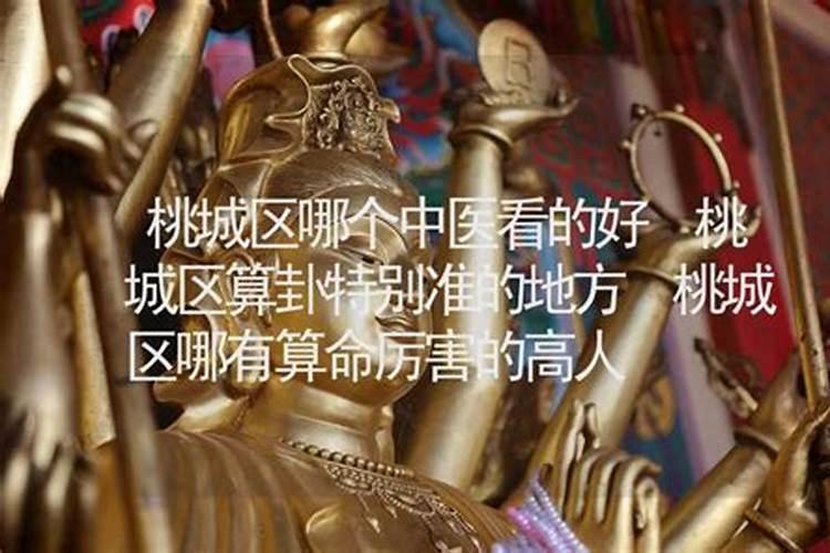 速求网球王子中出现的所有学校的资料