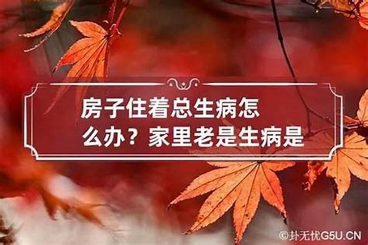 玄关鞋柜上放什么最旺