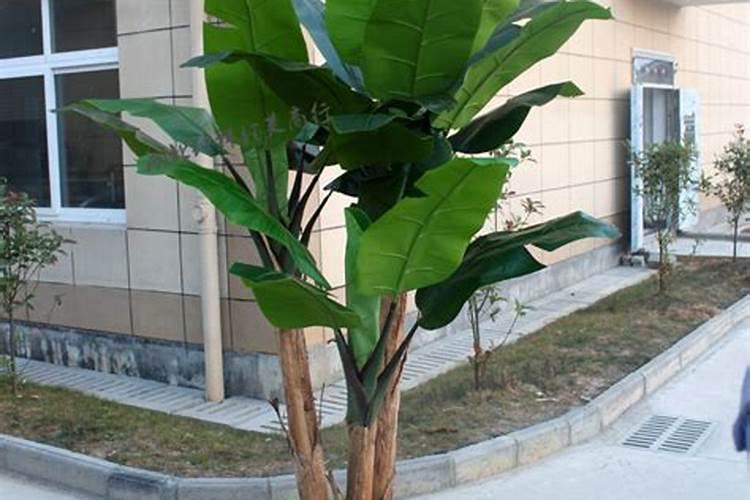 故事:陆家嘴高楼背后的秘密,一场持续二十年的中日风水战