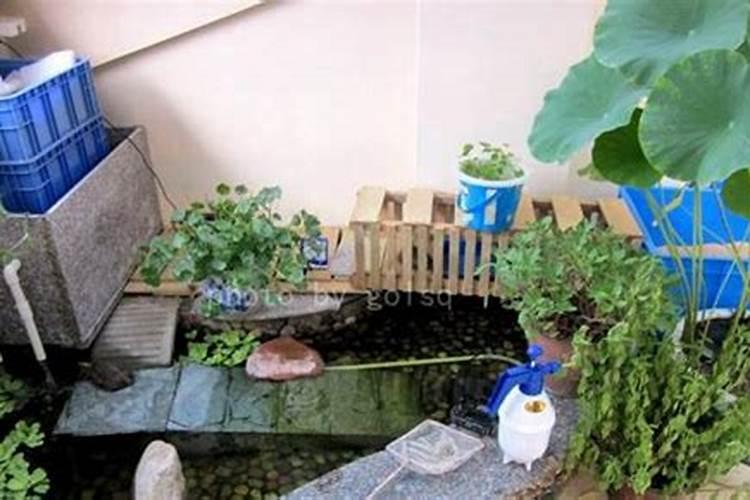 杨公风水造福堂地址在哪里？