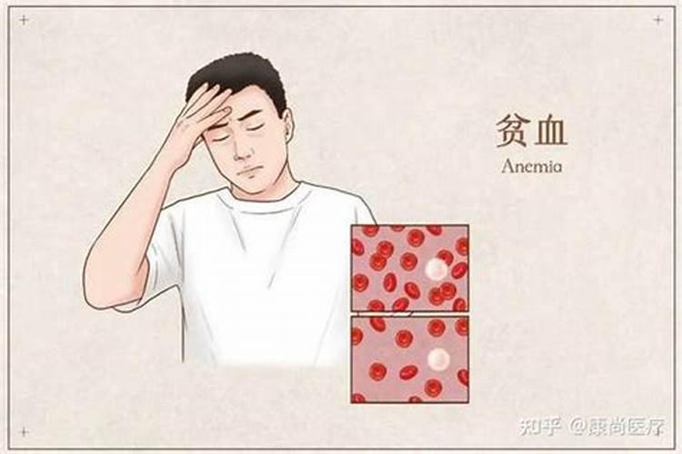住宅中无色彩植物的风水功能