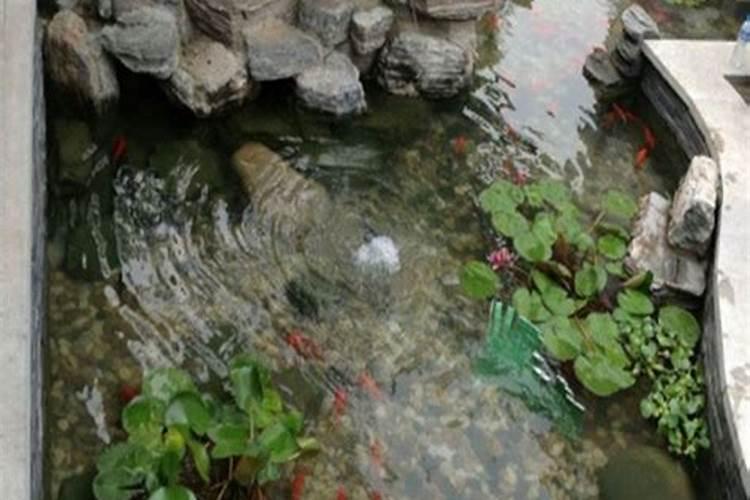 池塘在别墅的左边在风水上合适吗
